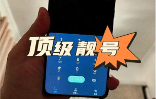 手机号中间四位怎么查？一键快速查询就上极速测网
