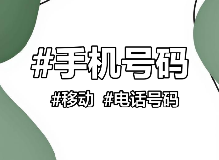 手机号补全系统｜极速测网一键高效补齐号码