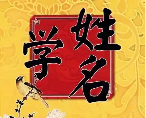 不用找大师！一站式智能起名测名，就上极速测
